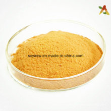 Natural Silymarin No. CAS 65666-07-1 Extracto de cardo de leche